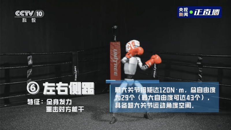 乔伊雷米庄园威洛：玻玛风土的精致陈述