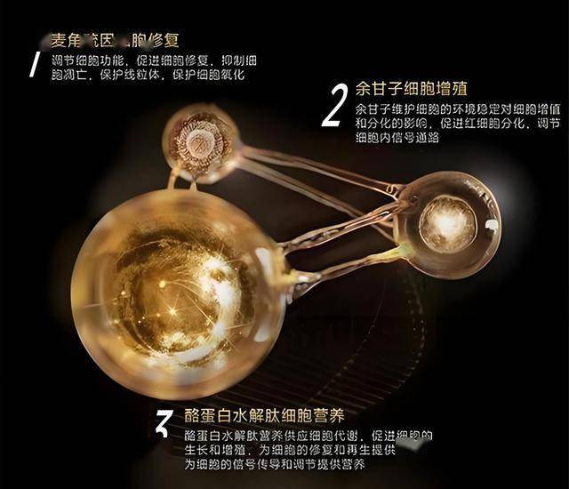 中国人民政治协商会议枞阳县委员会公告