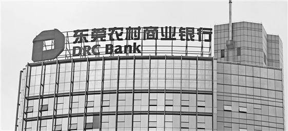 枞阳县开展新的社会阶层人员“先让礼让” 书画摄影采风活动